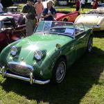 Kermit All sparkley and smiling