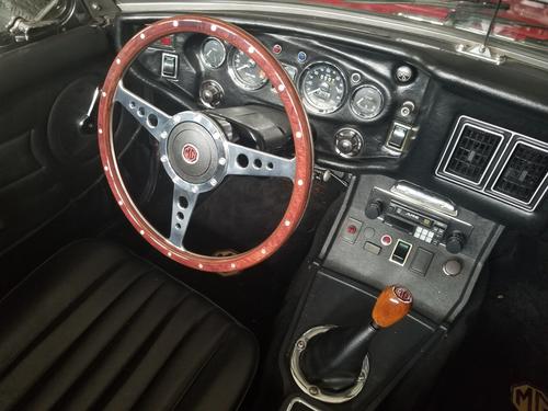 Boldster Alberto Correa