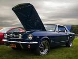 1965 Ford Mustang Sonic Blue Pearl Effect William JENKINS